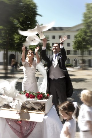 Hochzeitstauben - Vogelschule Christian Krey, Hochzeitstauben · Ballons Wiesbaden, Kontaktbild