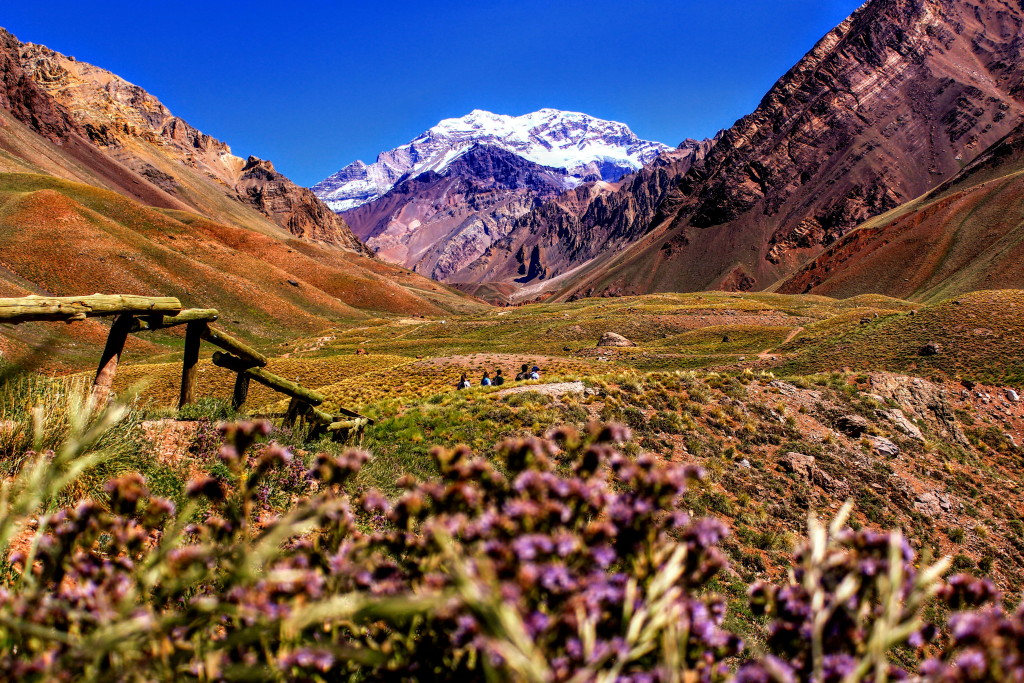Wilde Natur Argentiniens